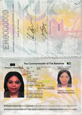 mofa visit visa request